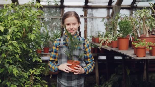 Portrait d'une adorable petite fille dans un tablier debout à l'intérieur d'une serre, tenant une plante en pot, souriant et riant. Orcharding, personnes et concept d'enfance . — Video