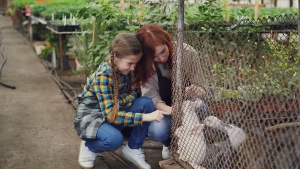 Bella contadina e la sua bellissima figlia in grembiuli stanno giocando con conigli in gabbia in fattoria. Animali domestici, persone allegre, concetto di vita e agricoltura . — Video Stock
