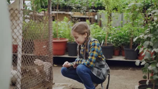 Lycklig liten flicka titta på bur kanin i växthus, röra vid dem och prata med roliga djur. Gröna växter och drivhus interiör i bakgrunden. — Stockvideo