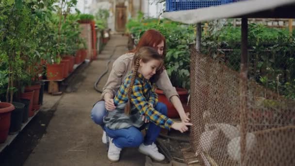 Trabalhadora de estufa e sua filha animada estão brincando com coelhos na gaiola dentro de uma grande estufa. Animais domésticos, pessoas felizes e conceito de jardinagem . — Vídeo de Stock