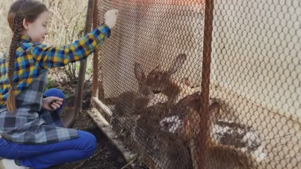 Menina animada no avental está alimentando coelhos enjaulados com grama na fazenda, observando-os comer e rir. Infância feliz, animais domésticos e conceito de natureza . — Vídeo de Stock