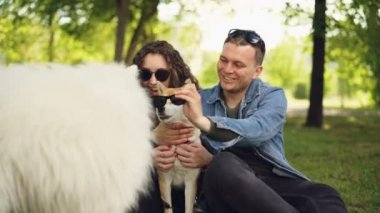 Genç kız çift ve adam parkta köpekler shiba Inu köpek yavrusu ve gülerek güneş gözlüğü koyarak izliyor eğlenceli sahip. Yaz, hayvanlar ve insanlar kavramı zevk.