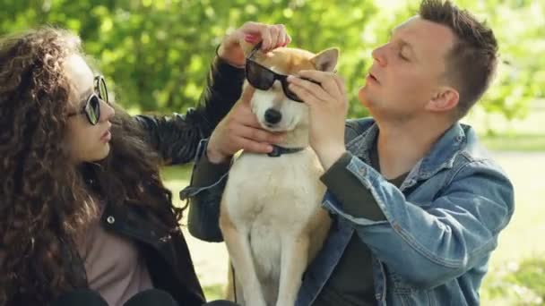 Ein fröhliches Paar amüsiert sich mit Hund, der eine Sonnenbrille aufsetzt und lacht, während er das Wochenende im Park verbringt. Natur, moderner Lebensstil und Tierkonzept. — Stockvideo