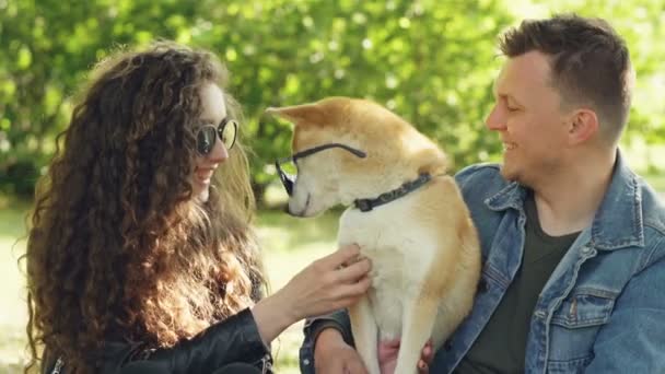 Mujer atractiva y su marido están jugando con perro poner gafas de sol en ella, acariciando su piel y palmaditas en la espalda y el cuello. Amar a los animales y divertirse concepto . — Vídeos de Stock