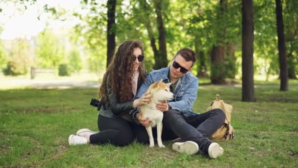 魅力的な女の子と彼女の彼氏の愛情のある犬の所有者は彼らのペットを撫で、週末に公園で休んで話。幸福、自然と人々 の概念. — ストック動画