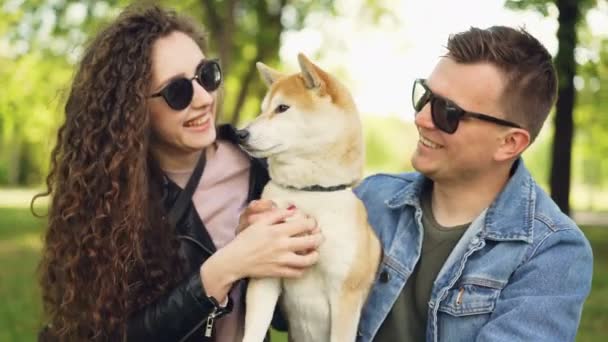 Orgulhosos donos de cães menina bonita e cara bonito estão brincando com shiba inu cão, beijando-o e arranhando sua pele relaxante no parque no fim de semana. Conceito de pessoas e animais . — Vídeo de Stock