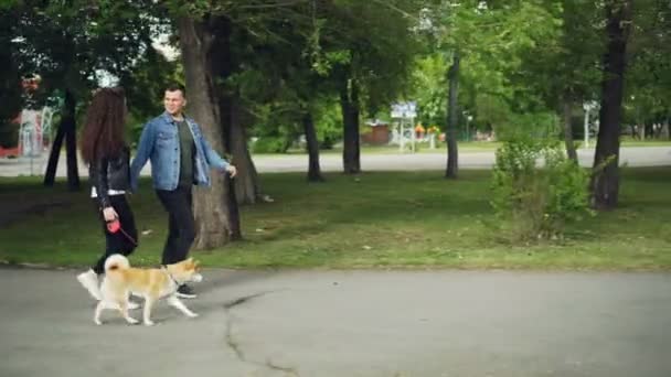 Vista lateral de la atractiva joven propietaria del perro paseando a su mascota y charlando con su novio yendo de la mano con ella. Estilo de vida activo y concepto de vida moderna . — Vídeo de stock