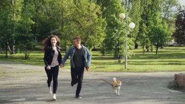 Yavaş hareket ile küçük köpek zevk özgürlük ve aktivite güzel yeşil ağaçlar ve çevrelerindeki çim ile parkta çalışan genç evli çift.