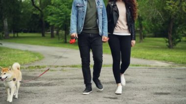 Ağır çekim parkta yürümek yürüyüş ve özgürlük zevk güzel itaatkâr köpek ile aktif genç insanlar düşük doz. Yol, yeşil çimen, Ayakkabı ve giysileri görülebilir.