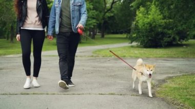 Onun kız arkadaşı ve köpek, halklar bacaklar ve yol boyunca çalışan güzel evde beslenen hayvan düşük doz ile parkta yürüyen genç adam ağır çekim. Sahipleri ve hayvanlar kavramı.