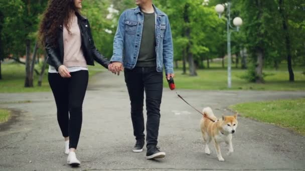 Slow motion laag schot van liefdevolle hondeneigenaren wandelen in het park met mooie kleine puppy wandeling en vrijheid te genieten. Pad, groen gras, schoenen en kleding zijn zichtbaar. — Stockvideo