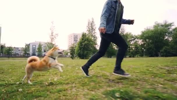 Cámara lenta de hombre joven amante dueño del perro corriendo con el cachorro en el parque de la ciudad, mascota feliz está disfrutando de la libertad y la naturaleza. Paisaje urbano es visible . — Vídeos de Stock