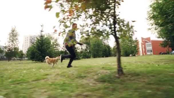 Slow motion of handsome guy caring dog owner jogging with small rodigree dog in park, happy puppy is enjoying freedom and nature. Виден городской пейзаж . — стоковое видео