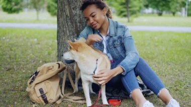 Sevgi dolu Afro-Amerikan kız öğrenci sevimli shiba Inu köpek, Şehir Parkı ağacında altında oturan hayvan sevecen okşayarak. Genç kadın denim ceket ve kot pantolon giyiyor.
