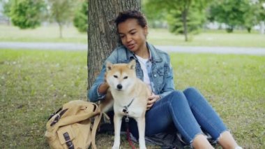 Oldukça karışık yarış kız şirin shiba Inu köpek içeteklik ve kendisine Park'ta hafta sonu dinlenme hassasiyet ile konuşurken. İnsan ve hayvanların kavramı arasındaki dostluk.