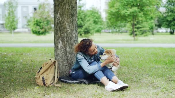 Soort Afro-Amerikaanse meisje strelen prachtige shiba inu hond zit in het park op gras onder de boom met de stad landschap zichtbaar in de achtergrond. — Stockvideo