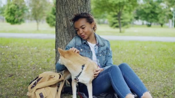 Bastante chica de raza mixta está acariciando lindo perro shiba inu y hablar con ella con ternura descansando en el parque en fin de semana. Concepto de amistad entre humanos y animales . — Vídeo de stock