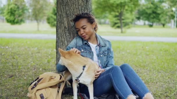 Menina raça muito mista está acariciando bonito shiba inu cão e falando com ele com ternura descansando no parque no fim de semana. Amizade entre humanos e animais conceito . — Vídeo de Stock