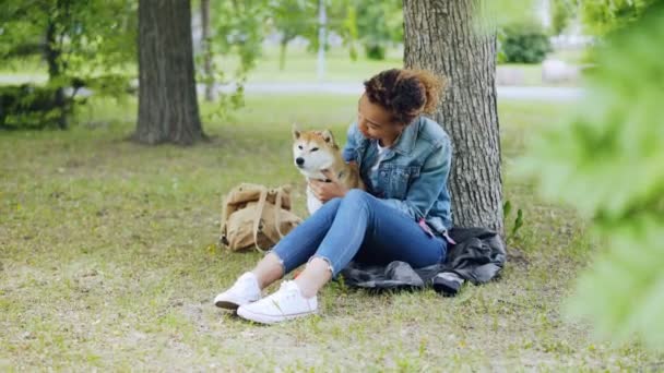 Gelukkige hond eigenaar aantrekkelijke African American meisje is haar rasechte hond aaien en praten met het zittend op grasveld in het park met groene bomen rond op winderige zomerdag. — Stockvideo