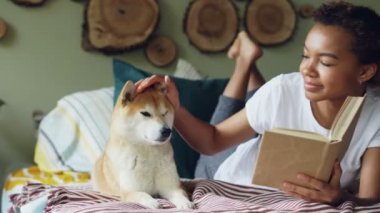 Genç Afrikalı-Amerikalı kadın kitap okuma ve güzel modern daire yatakta dinlenme onun köpeği okşama. Hayvan sahipleri sevgi ve bakım keyif alıyor.