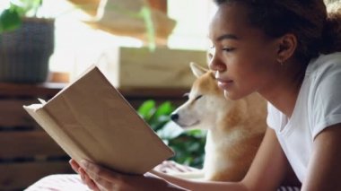 Yakın çekim çekim akıllı Afrikalı-Amerikalı kadın serbest zaman büyük pencere ve arka planda yeşil bitkiler ile ile onun safkan köpek yatakta yatarken kitap okuma.
