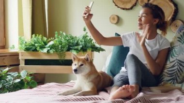 Duygusal karışık yarış kız gülümseyerek ve itaatkâr safkan köpek yatağın yanında yatan ile ekrana bakarak sohbet görüntülü arama yapma cep telefonunda konuşuyor.