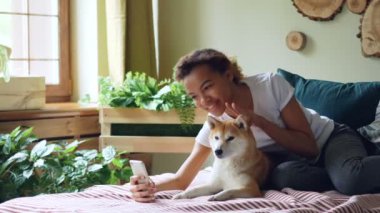 Güzel kız köpek sahibi görüntülü arama yapma ve evde yatakta yatarken safkan köpeğini okşuyor, Genç bir kadın konuşmaya ve hayvan için muhatap gösteren gurur.