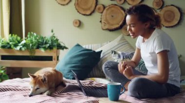 El hareketi ve onun yanında yalan köpek yavrusu ile yatağa evde oturan dizüstü ekran bakarak arkadaşlarınızla çevrimiçi konuşurken skyping mutlu bir kızdır. İletişim ve teknoloji kavramı.