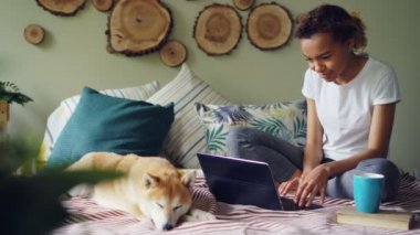 Genç kadın alışveriş online yazarak ve sevimli köpek yavrusu yanında modern daire içinde yatakta yatarken ekrana bakarak laptop kullanıyor. Internet ve gençlik kavramı.