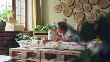 Bakım köpek sahibi çok güzel shiba Inu köpek okşayarak ve bu modern daire hayvan şefkat ve sevgi ile seyir yatakta yatan konuşma.