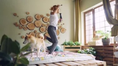 Neşeli kız öğrenci saç kurutma eğleniyor yatak şarkı üzerinde dans, zeki bir köpeksin etrafa yatakta ayakta iken müzik.