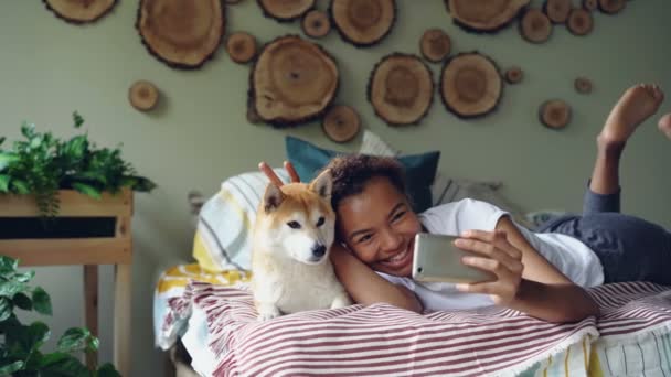 Chica alegre está tomando selfie con mascota posando con hermoso perro acostado en la cama divirtiéndose y riendo. Apartamento moderno con un diseño encantador y muebles es visible . — Vídeo de stock