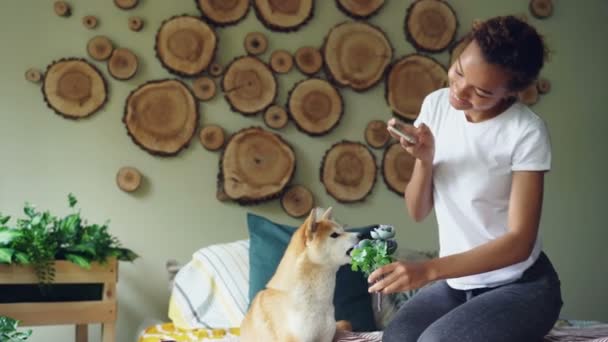 Propriétaire de chien heureux femme attrayante tire sur son chien avec des fleurs sur le lit en prenant des photos drôles d'animaux sentant et mordant des fleurs, fille s'amuse . — Video
