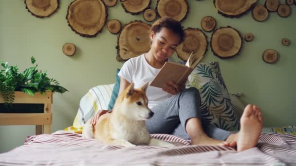 Menina de raça mista atraente está lendo livro e acariciando seu filhote sentado descalço na cama no apartamento moderno. Animais amorosos, desfrutando de literatura e conceito de casas . — Vídeo de Stock