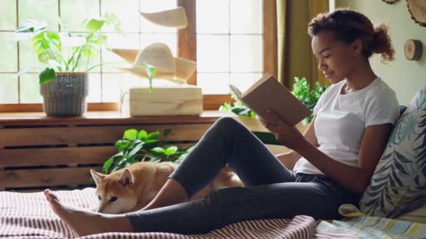 Hübsches Mädchen Mischlingsstudentin liest Buch und streichelt Hund, der Liebe und Fürsorge ausdrückt, sitzend auf dem Bett im Haus. Jugend-, Hobby- und Tierkonzept. — Stockvideo