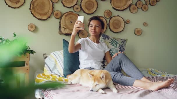 Gelukkig Afro-Amerikaanse tiener is het maken van video-oproep met smartphone bellen vrienden praten en gebaren terwijl haar schattige hond op bed met haar ligt. — Stockvideo