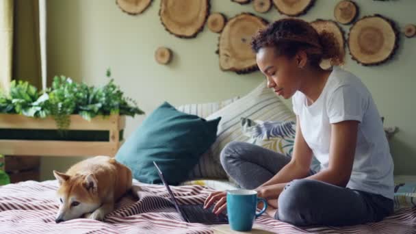 Modern afro-amerikai lány használ laptop, és iszik kávé ül az ágyon, aranyos kiskutya pihentető otthon. Technológia, a háziállatok és az emberek koncepció. — Stock videók