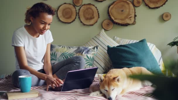 Feliz mujer joven freelancer está trabajando con el ordenador portátil escribiendo texto sentado en la cama en casa con perro lindo acostado cerca de ella. Trabajo en línea distante y concepto de personas . — Vídeo de stock