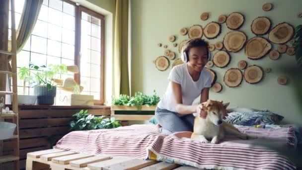 Cute mixed race woman is listening to music with headphones, dancing sitting on bed and stroking her adorable shiba inu dog with love and care. People, technology and animals concept. — Stock Video