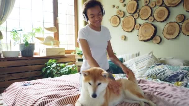 Joyful African American teenage girl is listening to music with headphones and fussing her calm shiba inu dog lying on bed and enjoying its owners love. Fun and animals concept. — Stock Video