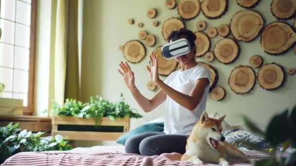 Chica afroamericana está utilizando gafas de realidad virtual sentado en la cama en casa, ella está moviendo las manos y la cabeza y sonriendo mientras su lindo perro está bostezando y lamiendo su hocico . — Vídeo de stock