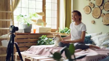 Neşeli karışık yarış blogger Evcil hayvanlar ile konuşma ve tripod üzerinde kamera seyir shiba Inu köpek, yatakta oturmuş hakkında öğretici kaydediyor.