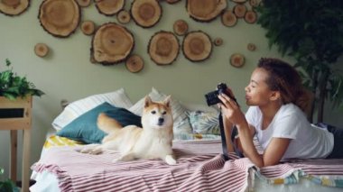 Gurur köpek sahibi onu safkan köpek evde yatakta yatarken profesyonel kamera ile fotoğraf çekmek. Güzel mobilya, şirin hayvan ve yeşil bitkiler görülebilir.