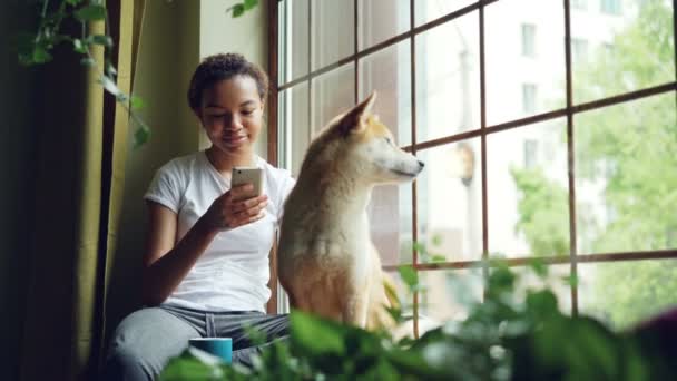 Όμορφη νεαρή γυναίκα κάθεται στο περβάζι του παραθύρου και χρησιμοποιώντας smartphone ενώ της χαριτωμένο shiba ήρεμο σκυλί inu κάθεται κοντά της απολαμβάνοντας θέα. Έννοια ελεύθερου χρόνου και σπίτια. — Αρχείο Βίντεο