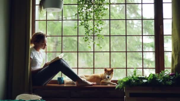 迷人的女学生非洲裔美国女孩正在阅读书坐在窗台附近可爱的宠物狗躺在她身旁。家庭, 爱好和动物概念. — 图库视频影像
