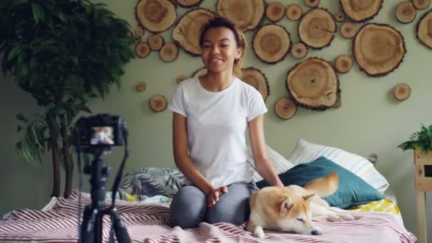 Cute blogger adolescente afroamericano está grabando videoblog sentado en la cama, acariciando perro mascota encantadora y hablando con los suscriptores. Concepto de redes sociales y personas . — Vídeos de Stock