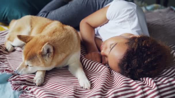 Ganska African American tonårig flicka och hennes trogna hund sover tillsammans på sängen hemma, person kramar djur i sömn. Förtroende och resten koncept. — Stockvideo