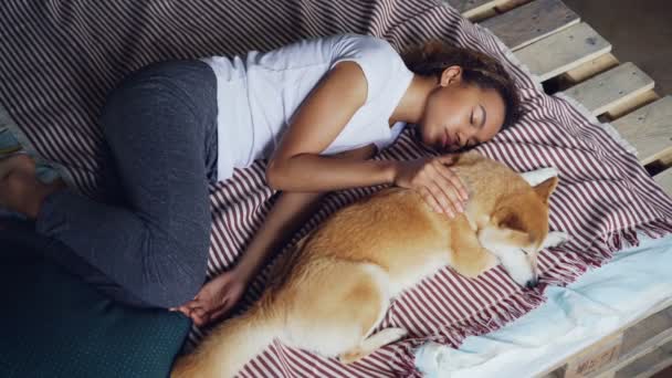 Vista ad alto angolo di bella giovane donna in pigiama e il suo adorabile cucciolo che dorme insieme sul letto a casa. Amicizia, riposo e concetto di arredamento . — Video Stock