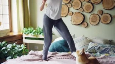 Genç hanımefendi eğlenceli sahip müzik, atlama ve onun shiba ise güzel bir şekilde dekore edilmiş yatak odasında dans Inu köpek onu sahip izlerken yatakta yatarken.