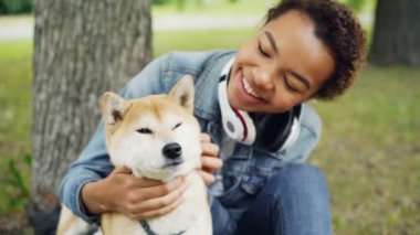 Ağır çekim güzel shiba Inu köpek sititng Park'ta yeşil çim yaz gününde okşama gülümseyen Afro-Amerikan Bayan. Hayvan sevgi ve bakım keyif alıyor.
